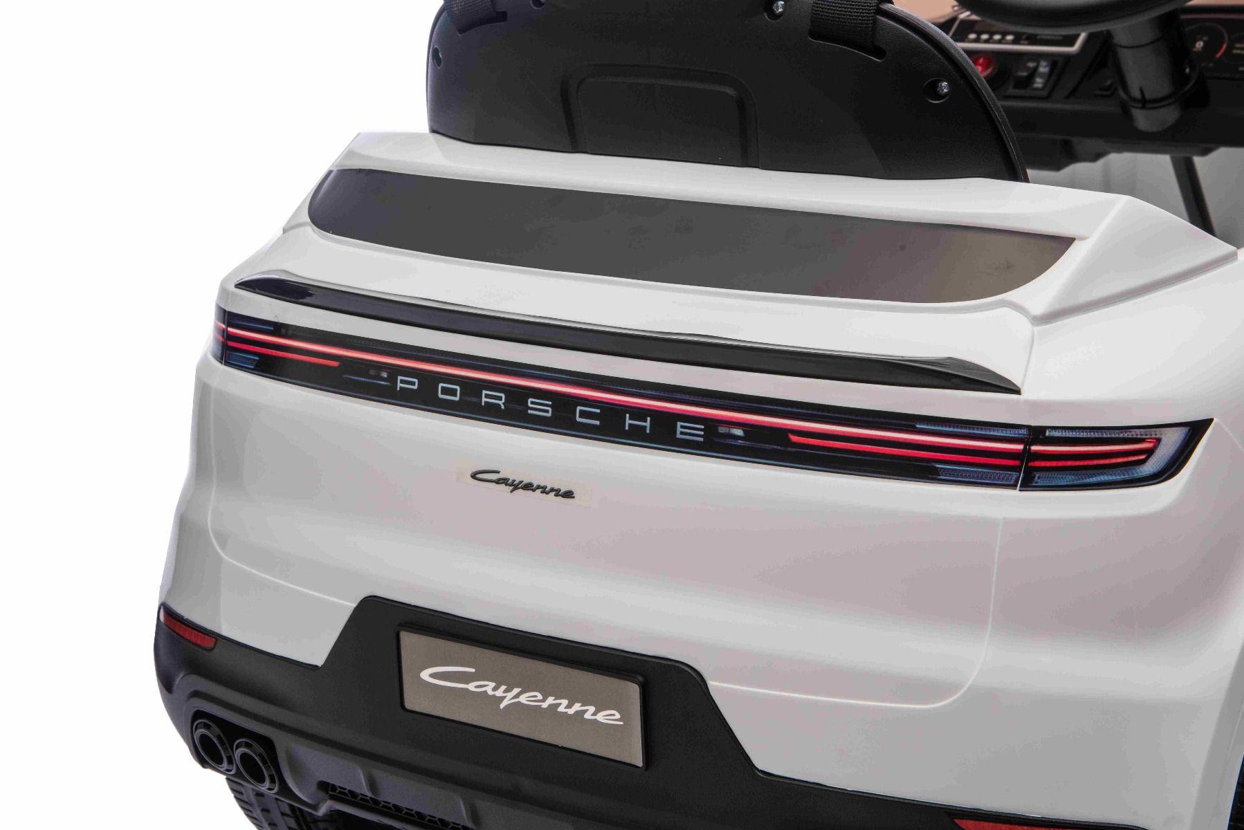 Porsche_Cayenne_Li-akku